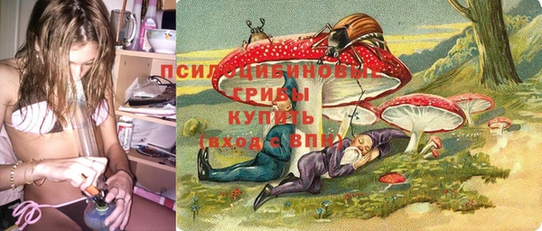 прущие крисы Бугульма